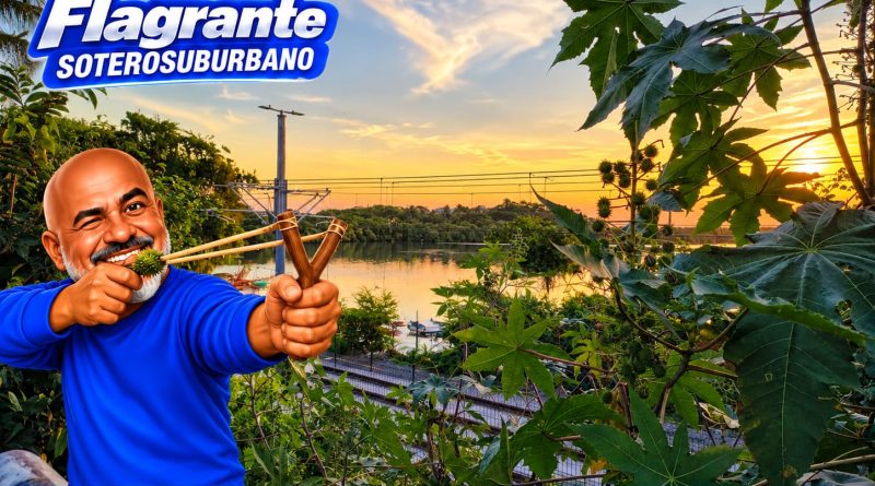 O BOM E VELHO PÉ DE MAMONA: MEMÓRIA QUE DESAPARECE DA PAISAGEM DO SUBÚRBIO